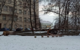 У сквері біля Закарпатської ОДА дерево впало на дитячий майданчик
